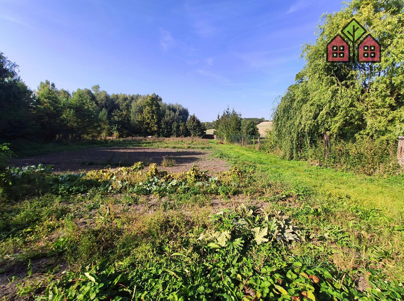 Prodej domu 225 m² s pozemkem 3 531 m² – fotografie 3