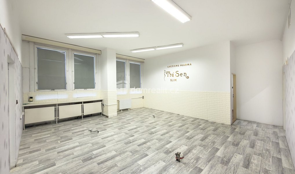 Pronájem obchodních prostor 216 m², České Budějovice – náhled fotky 17