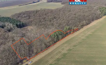 Prodej lesa 6 169 m², Slatiny, okres Jičín