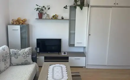 Pronájem bytu 1+kk 35 m², Horní, Ostrava - Bělský Les