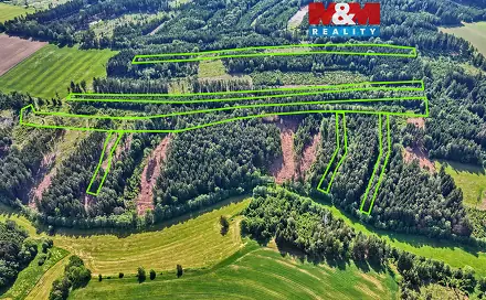 Prodej lesa 91 698 m², Moraveč, okres Pelhřimov