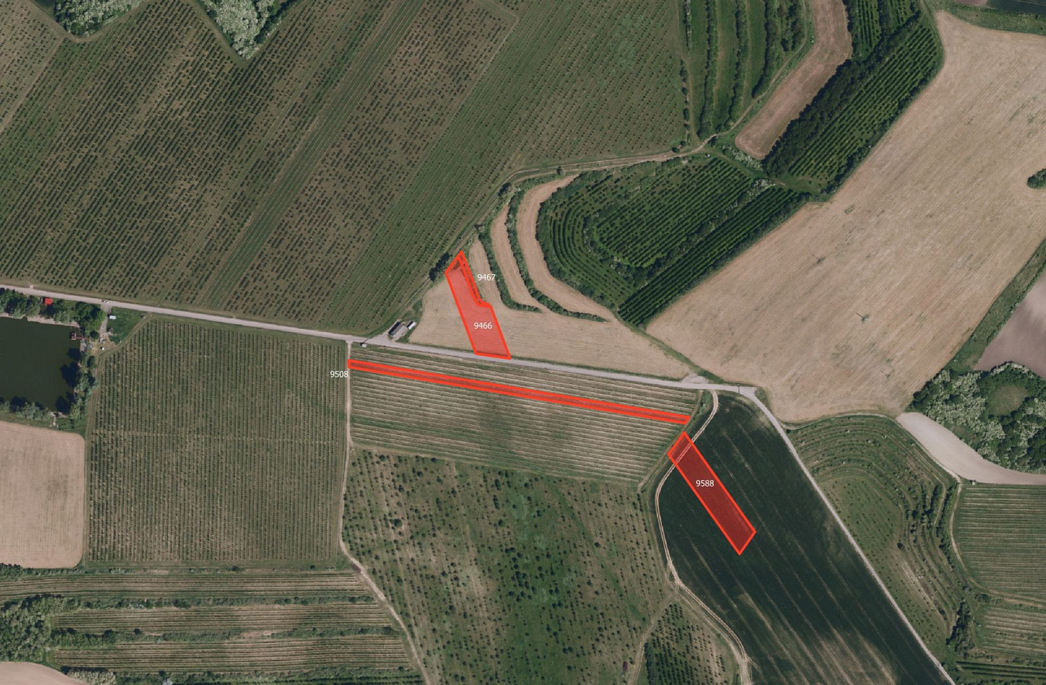 Prodej pole 33 801 m² — photo 4