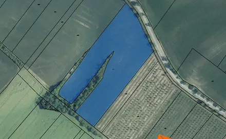 Ostatní