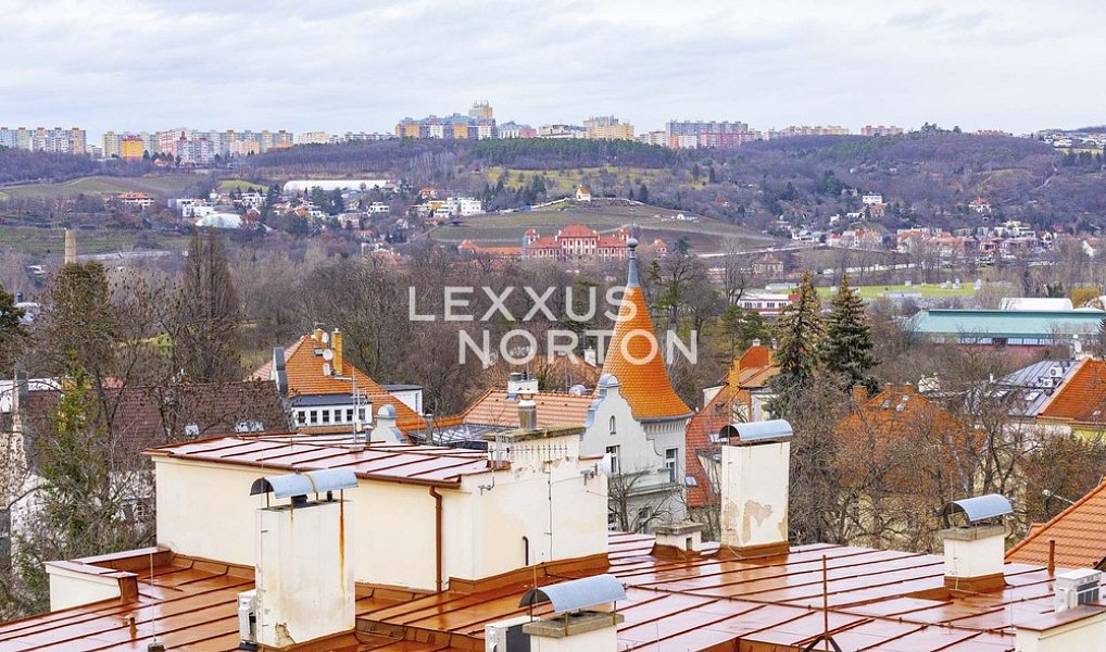 Pronájem bytu 3+kk 123 m², Praha – náhled fotky 16