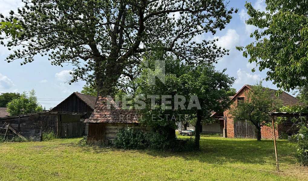 Prodej domu 90 m² s pozemkem 4 430 m², Chotěšice – náhled fotky 12