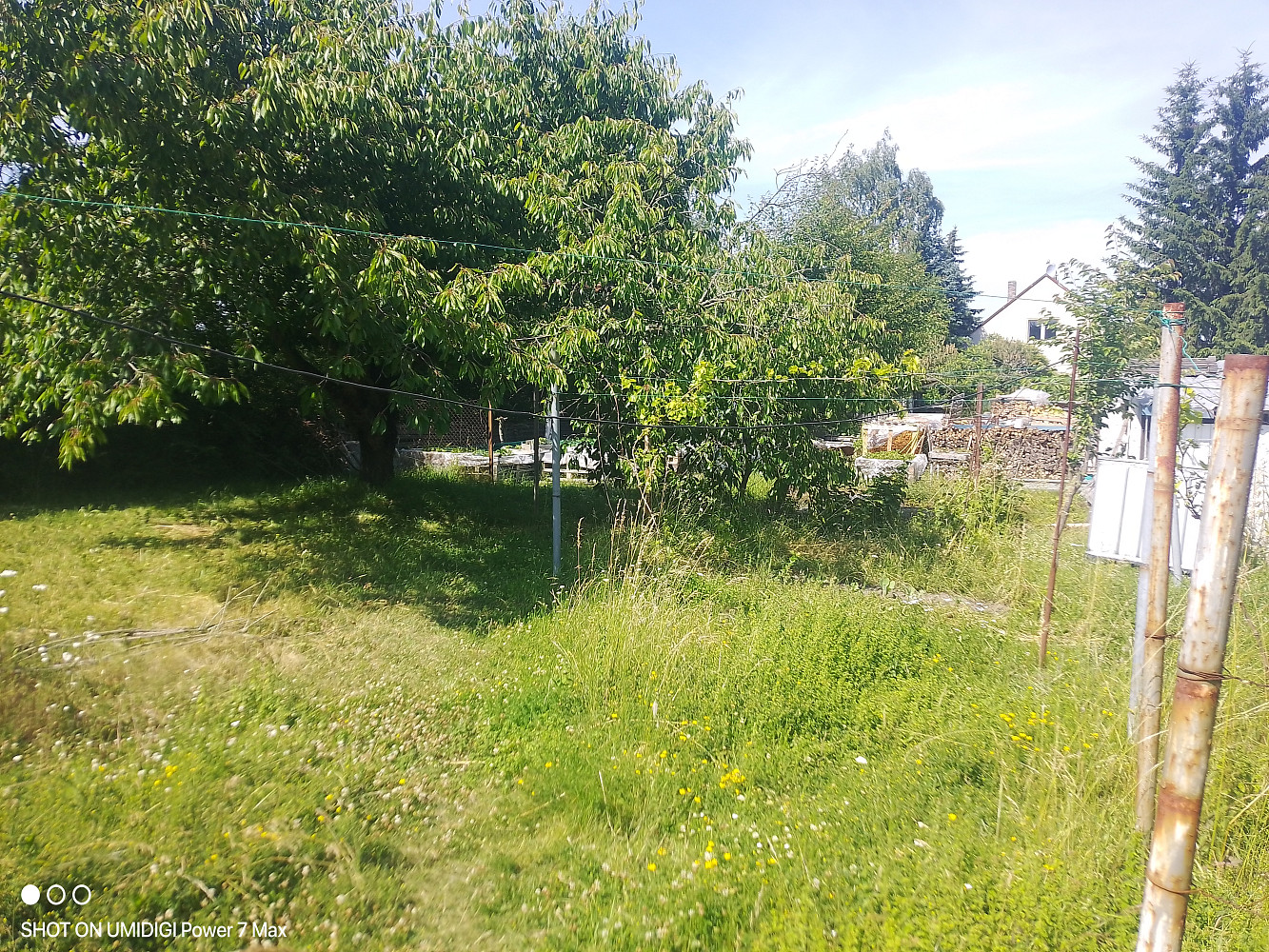 Pronájem zahrady 980 m²