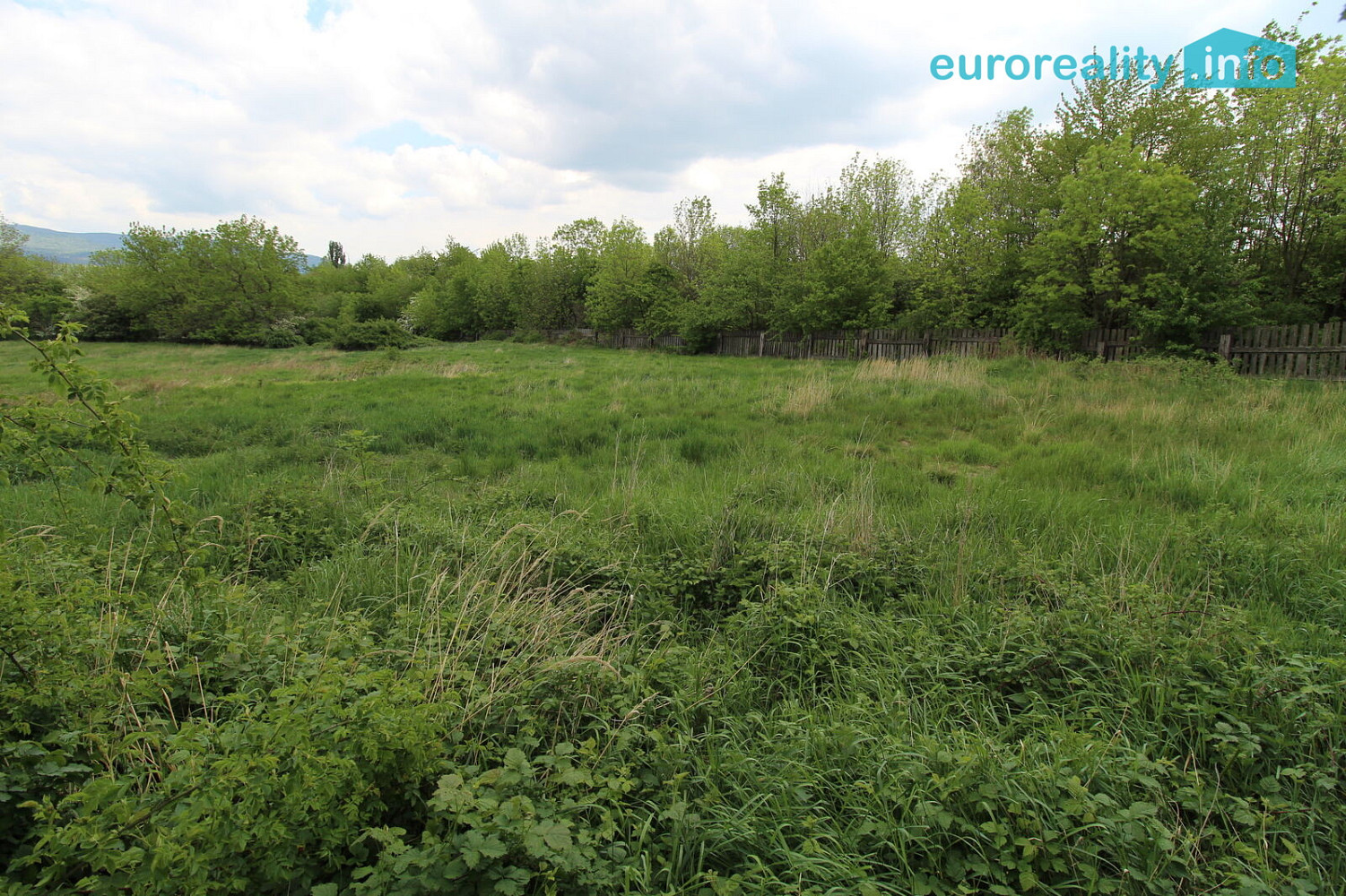 Fotka 22 z 29