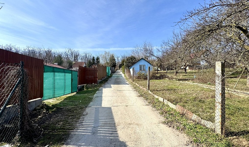 Prodej zahrady 511 m², Dyje – náhled fotky 5