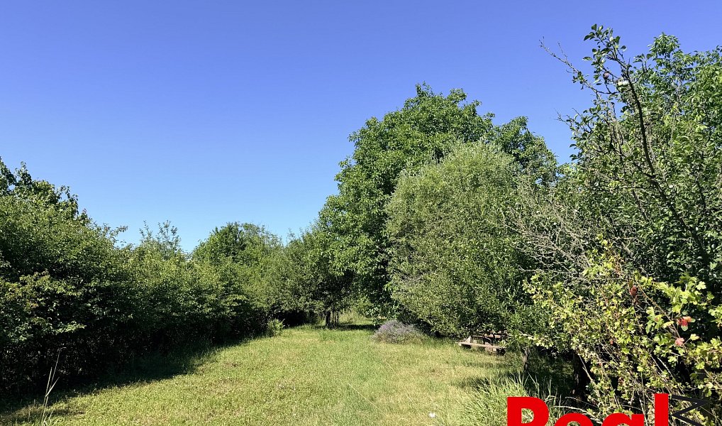 Prodej zahrady 2 459 m², Brno – náhled fotky 18