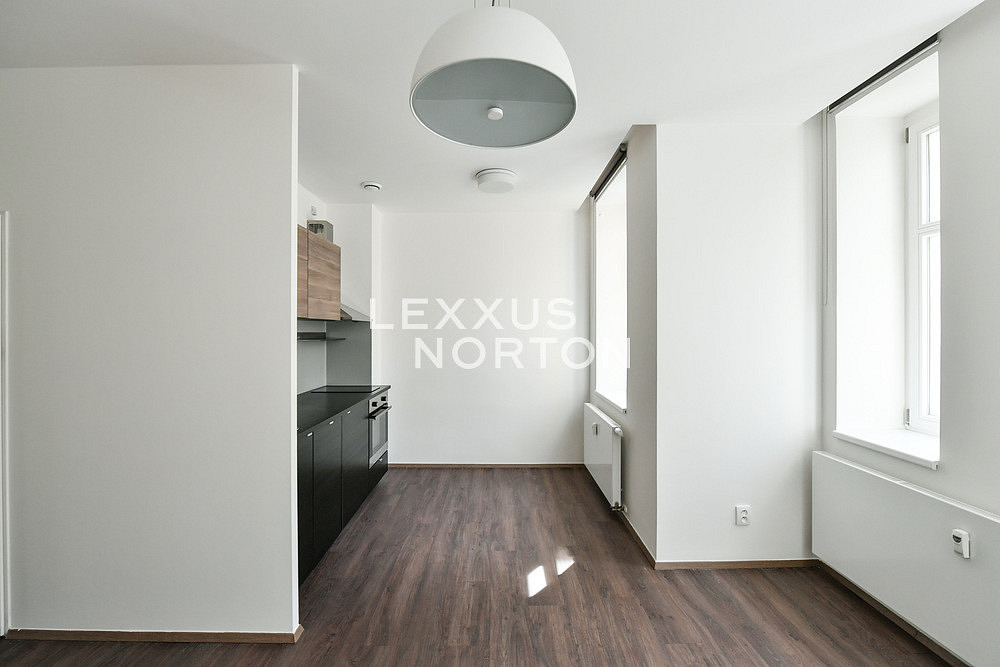 Pronájem bytu 1+kk 30 m² — photo 4