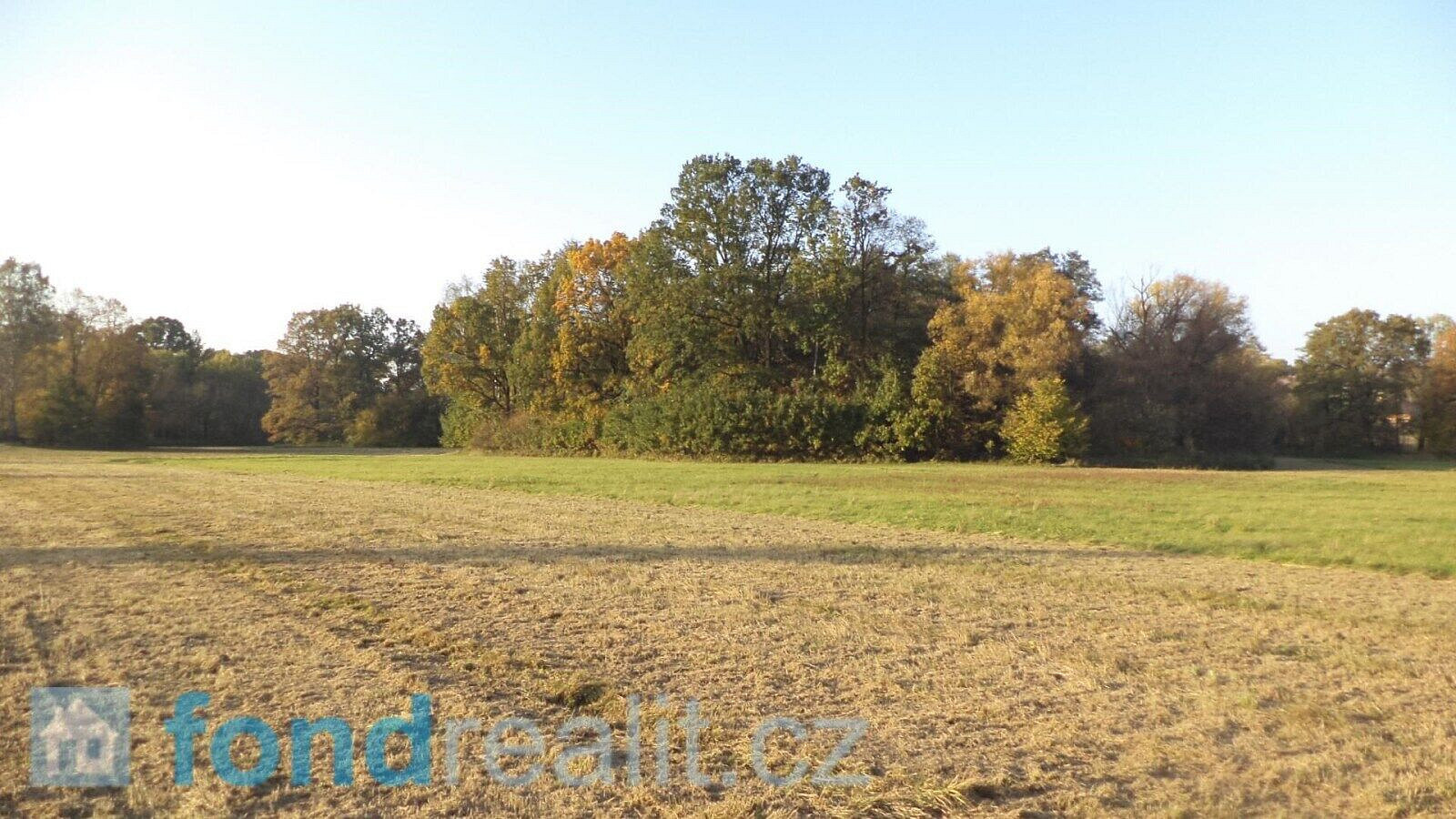 Prodej pozemku 6 981 m²