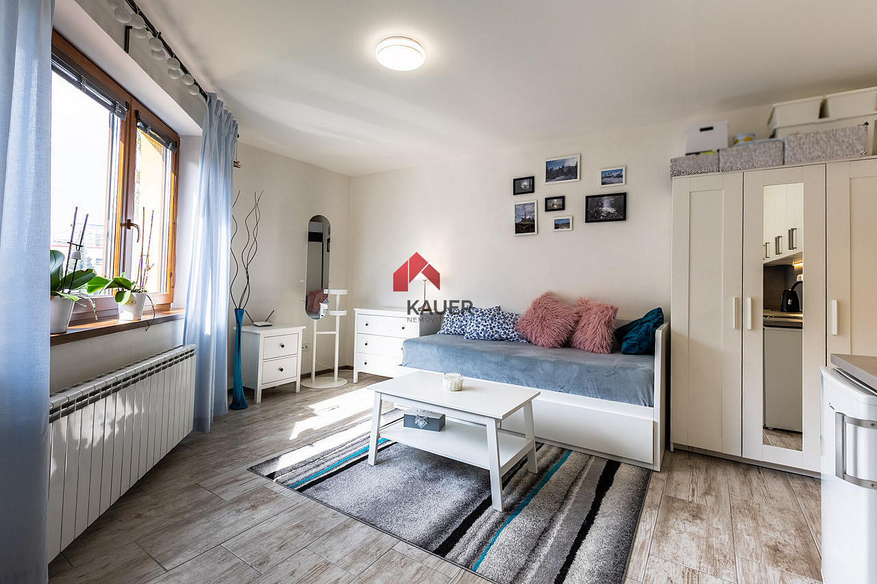 Pronájem bytu 1+kk 25 m² — photo 2