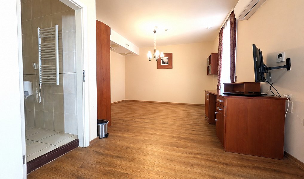 Pronájem obchodních prostor 30 m², Plzeň – náhled fotky 3