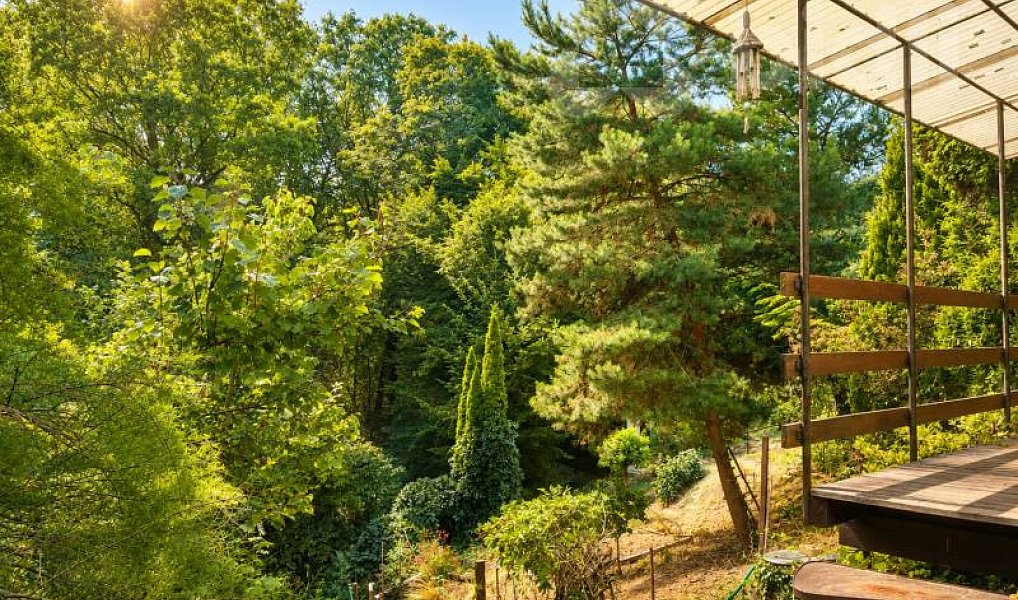 Prodej chaty/chalupy 14 m² s pozemkem 865 m², Seloutky – náhled fotky 12
