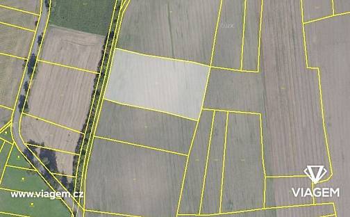 Prodej pole 3 887 m², Jíkev, okres Nymburk