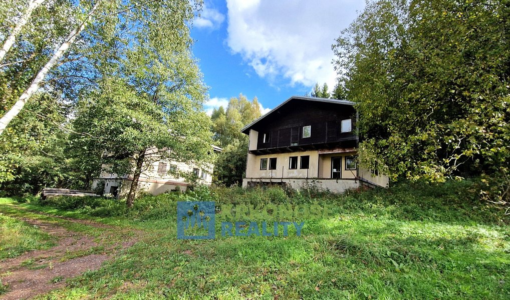 Prodej domu 320 m² s pozemkem 2 462 m², Trutnov – náhled fotky 4