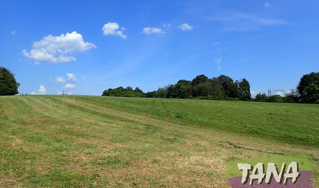 Prodej louky 49 051 m², Hodkovice nad Mohelkou – náhled fotky 11