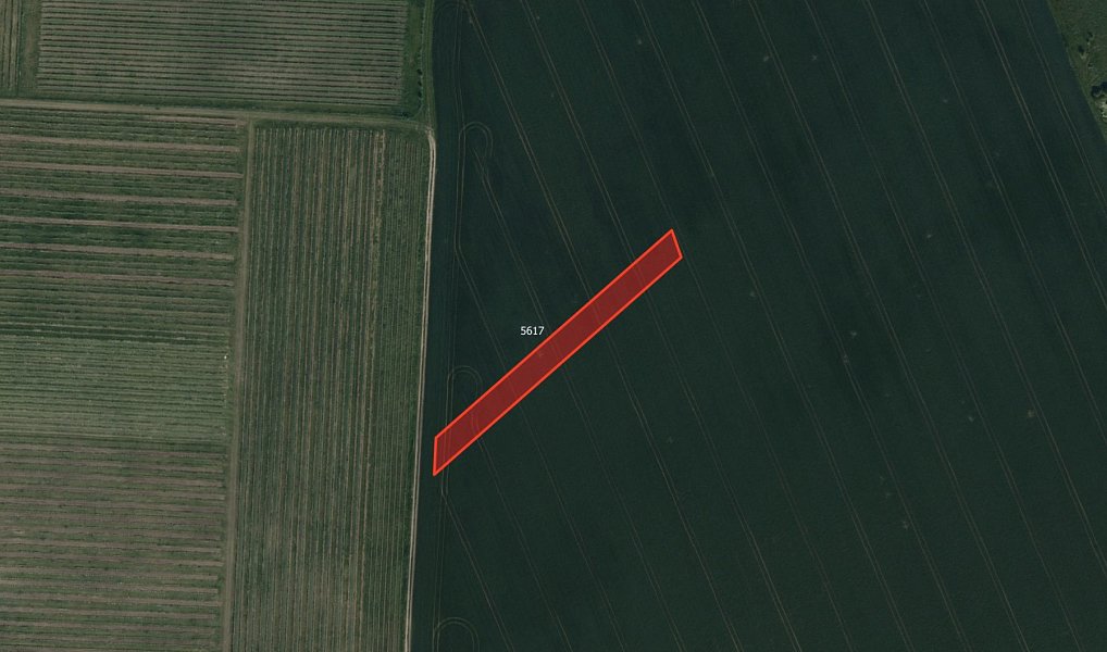 Prodej pole 14 992 m², Velká nad Veličkou – náhled fotky 4