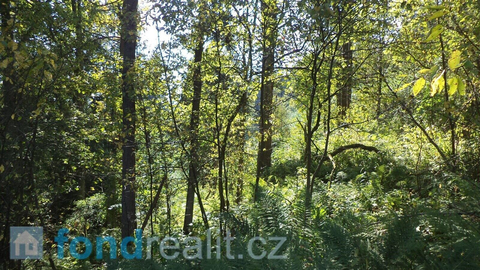 Prodej pole 10 225 m²