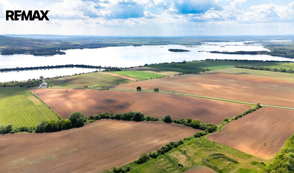 Prodej pole 71 859 m², Strachotín – náhled fotky 5