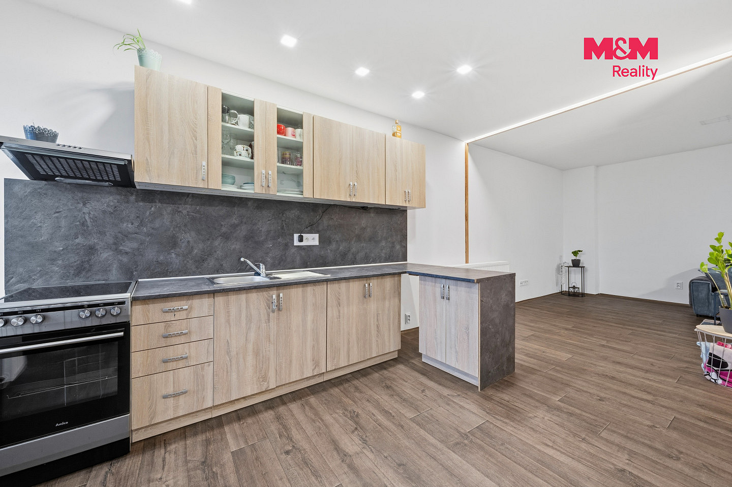 Prodej domu 454 m² s pozemkem 1 395 m² – fotografie 3