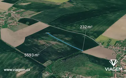 Ostatní