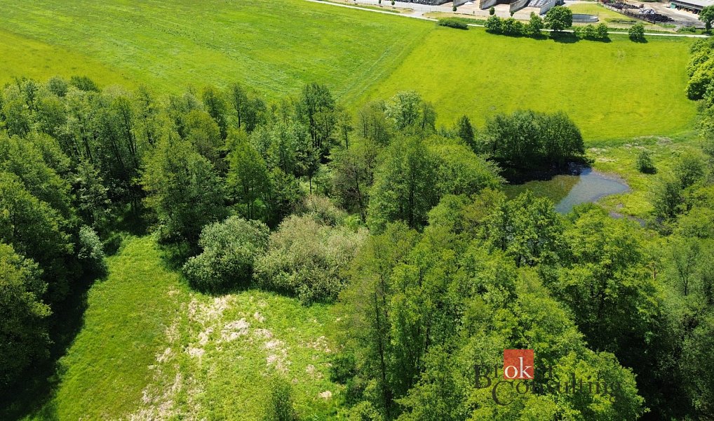 Prodej vodní plochy 19 964 m², Žákava – náhled fotky 14
