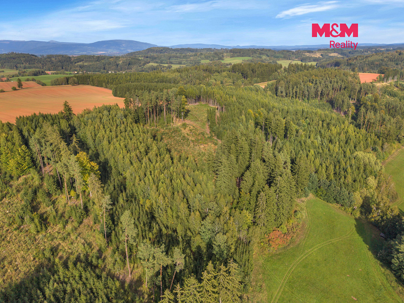 Prodej lesa 8 513 m² – fotografie 5
