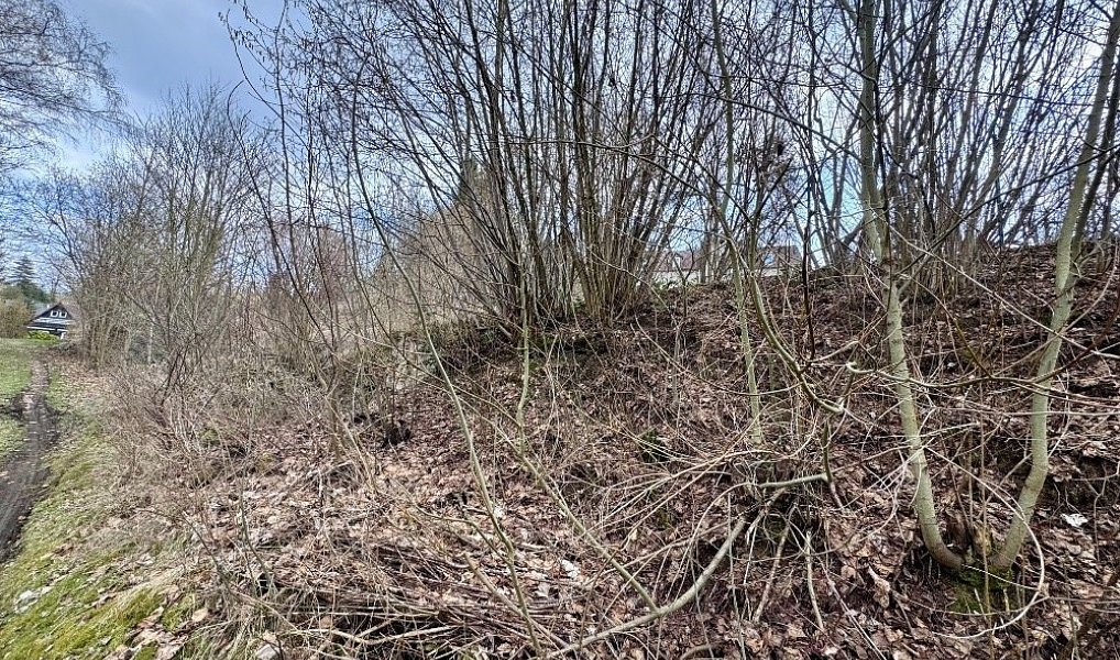 Prodej stavebního pozemku 254 m², Krásná Lípa – náhled fotky 5