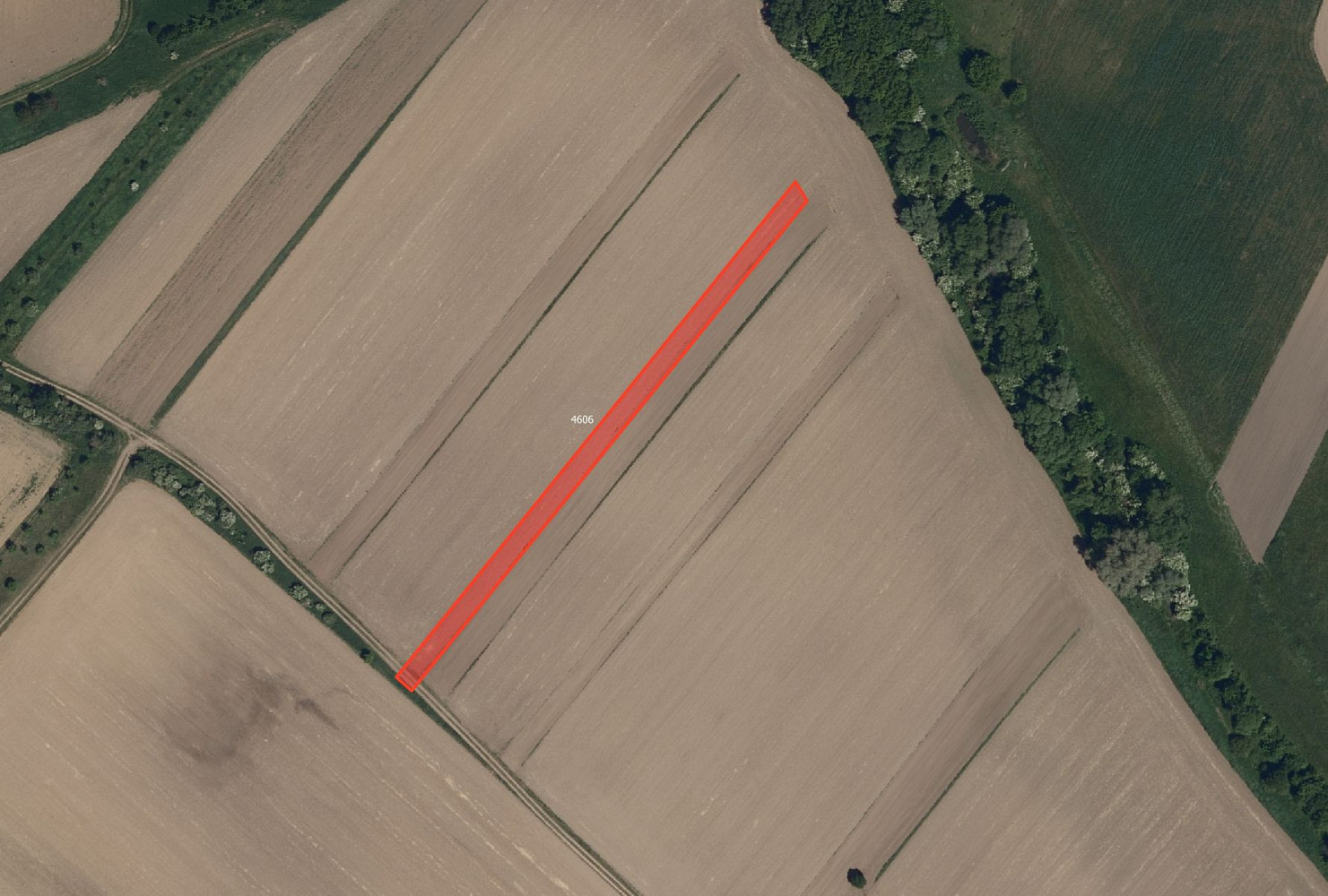 Prodej pole 7 508 m² — photo 2