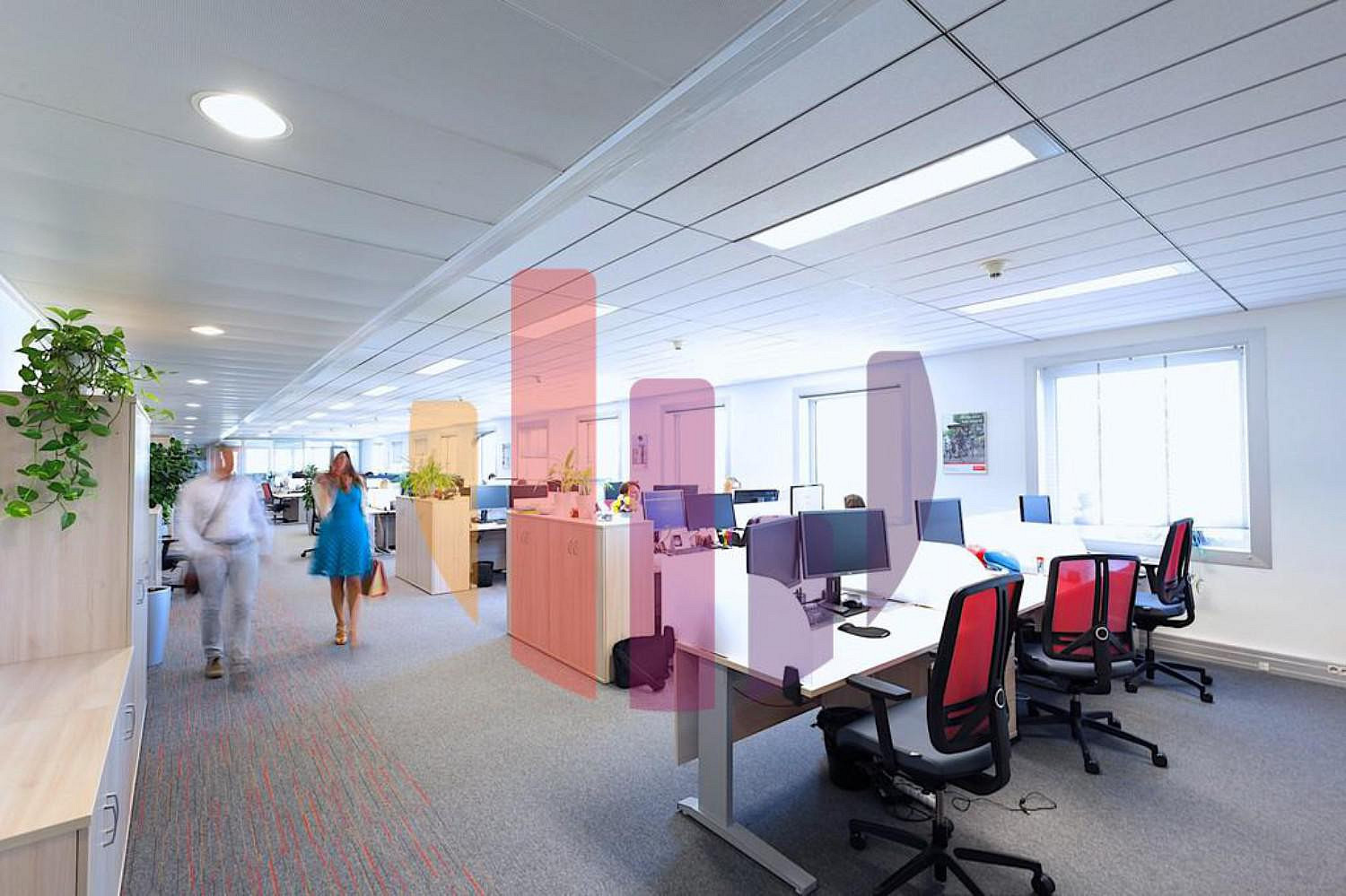 Pronájem kanceláře 135 m² — photo 3