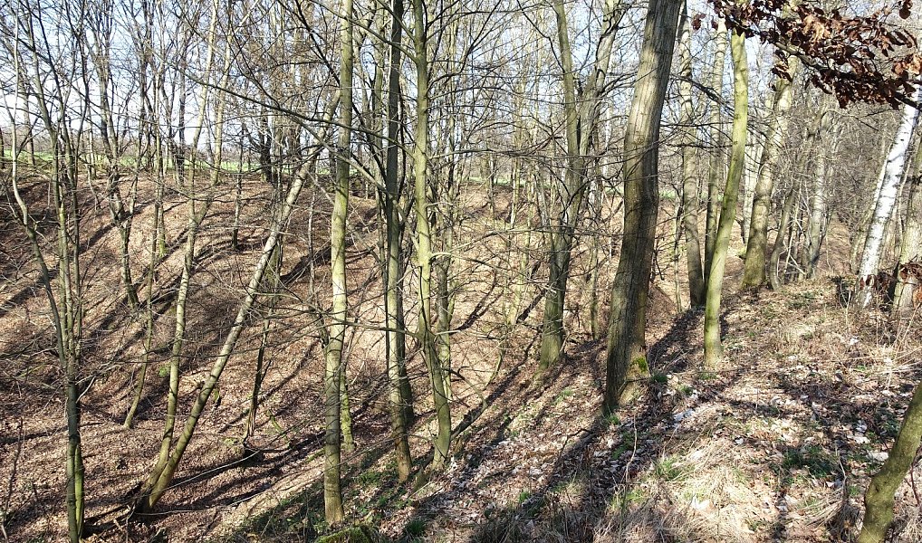 Prodej louky 6 013 m², Bohumín – náhled fotky 10