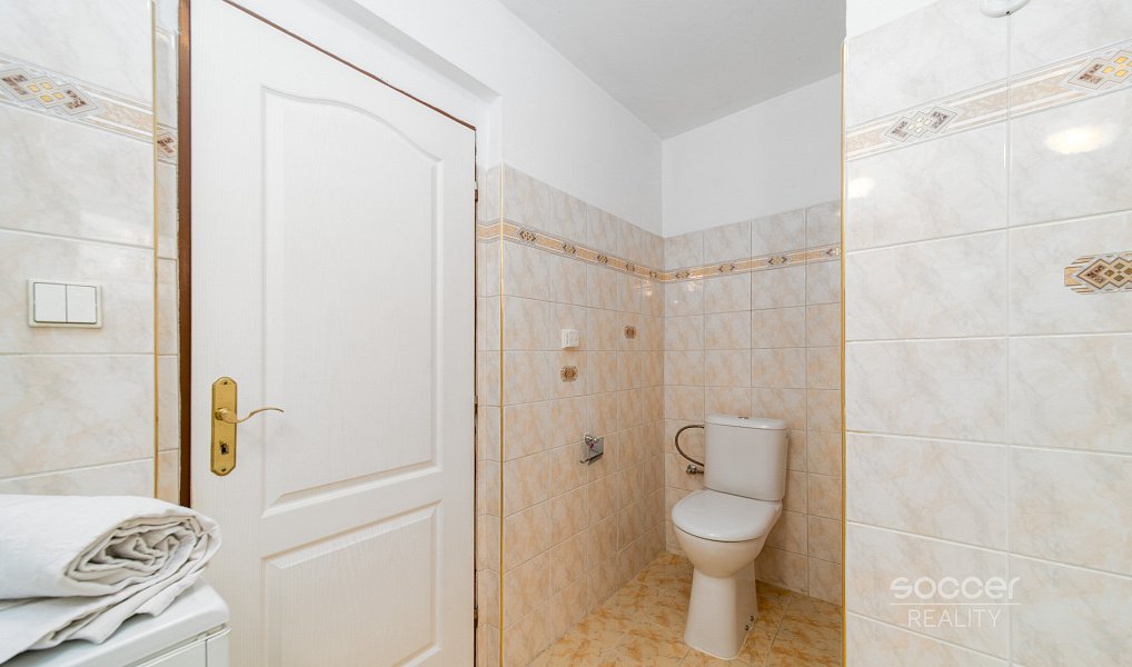 Pronájem domu 180 m² s pozemkem 1 662 m², Dobrovice – náhled fotky 13