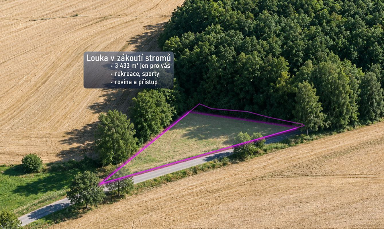 Prodej louky 3 433 m²