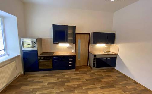 Pronájem bytu 1+1 46 m², Moskevská, Česká Lípa