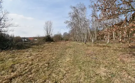 Prodej stavebního pozemku 6 184 m², Dubí - Drahůnky, okres Teplice