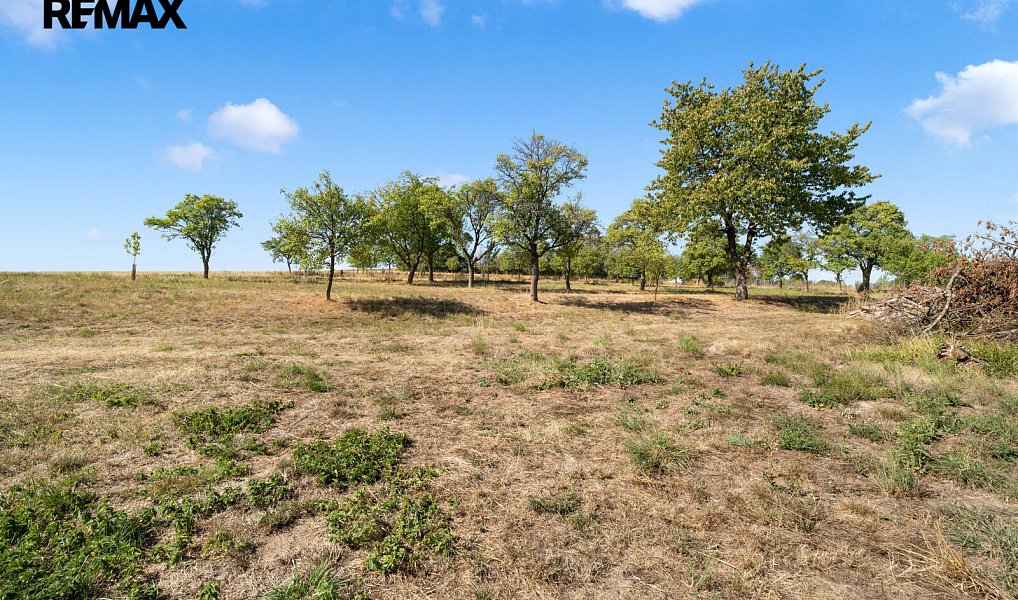 Prodej zemědělského objektu 260 m², Drahonín – náhled fotky 43