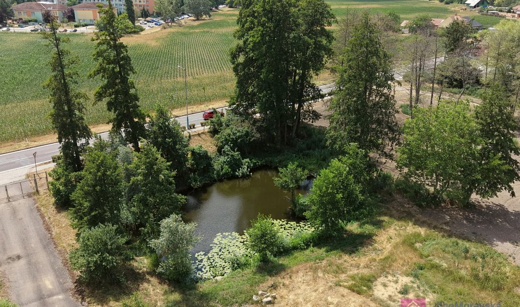Prodej komerčního pozemku 4 463 m², Břeclav – náhled fotky 14