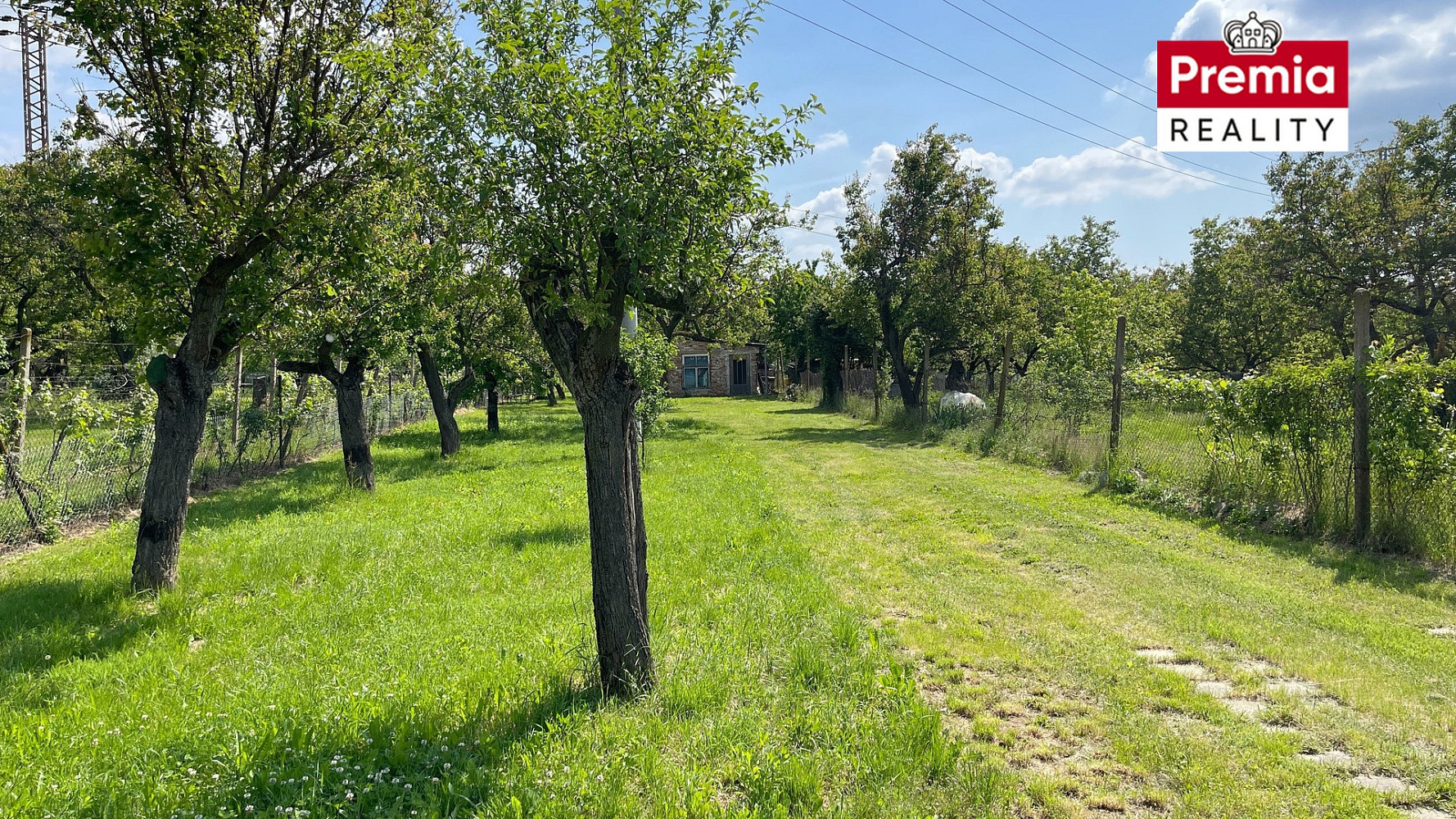Prodej zahrady 1 952 m² – fotografie 4