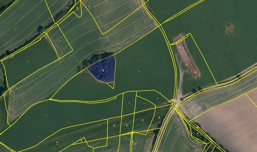 Prodej lesa 2 612 m², Brtnice – náhled fotky 2