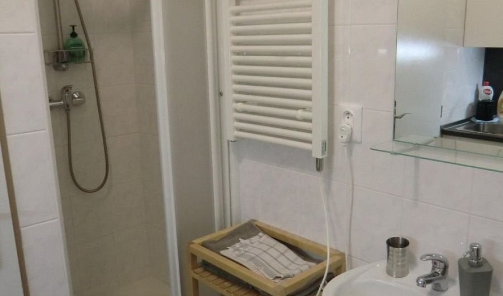 Prodej bytu 1+kk 25 m², Malá Morávka – náhled fotky 4