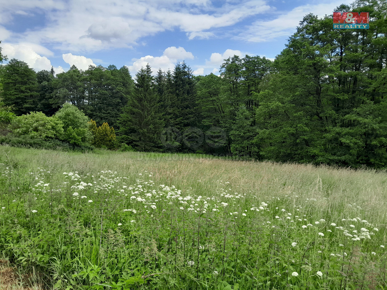 Prodej louky 19 732 m² — photo 3