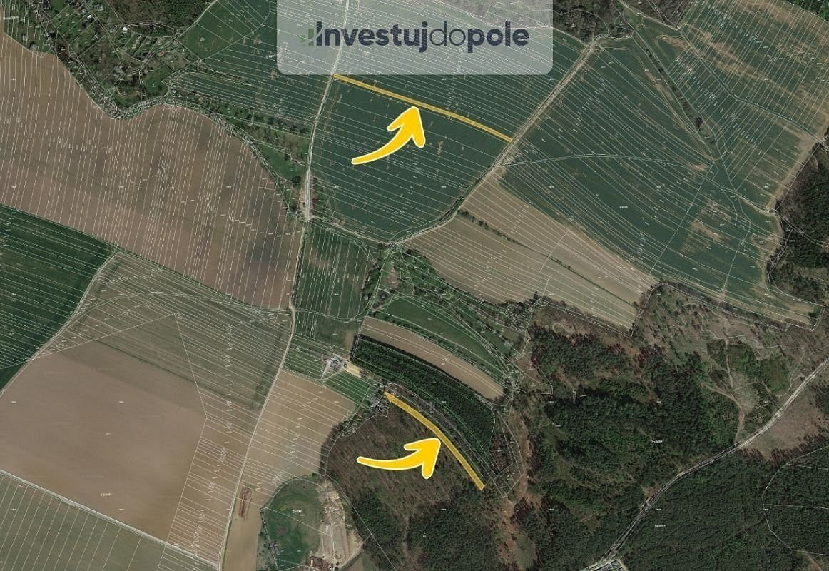 Prodej lesa 1 396 m² – fotografie 3