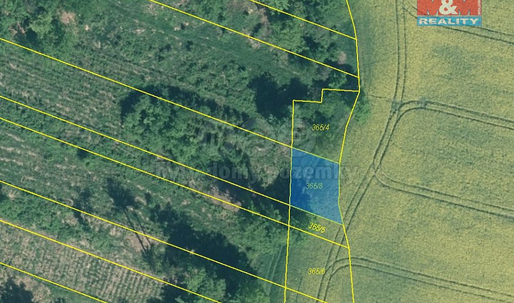 Prodej lesa 4 125 m², Stehlovice – náhled fotky 2