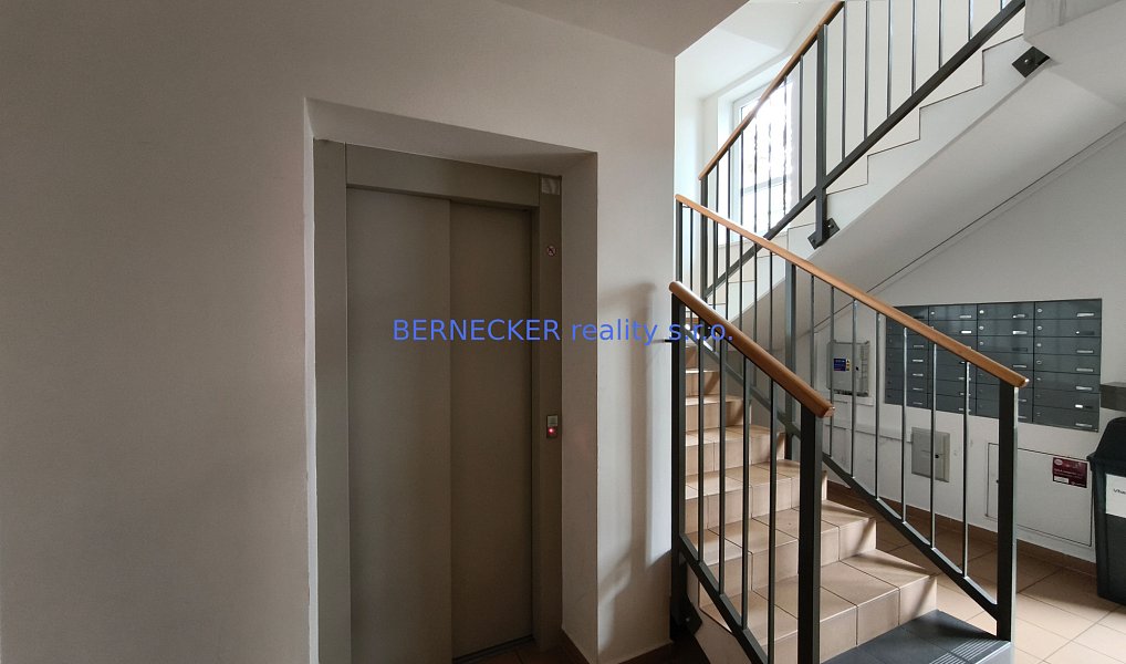 Pronájem bytu 1+kk 30 m², Hradec Králové – náhled fotky 9