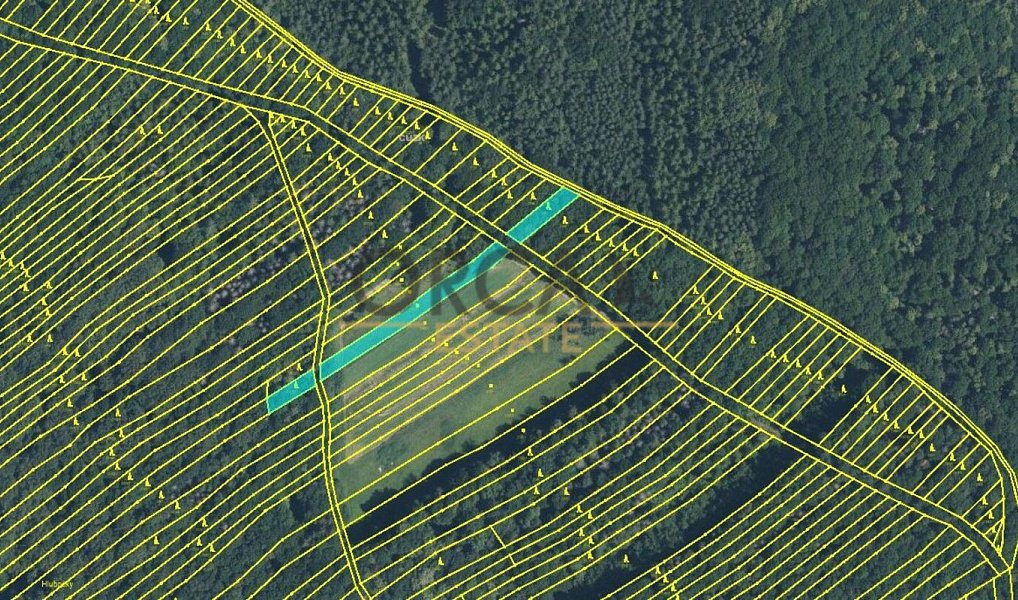 Prodej pole 6 356 m², Mistřice – náhled fotky 6