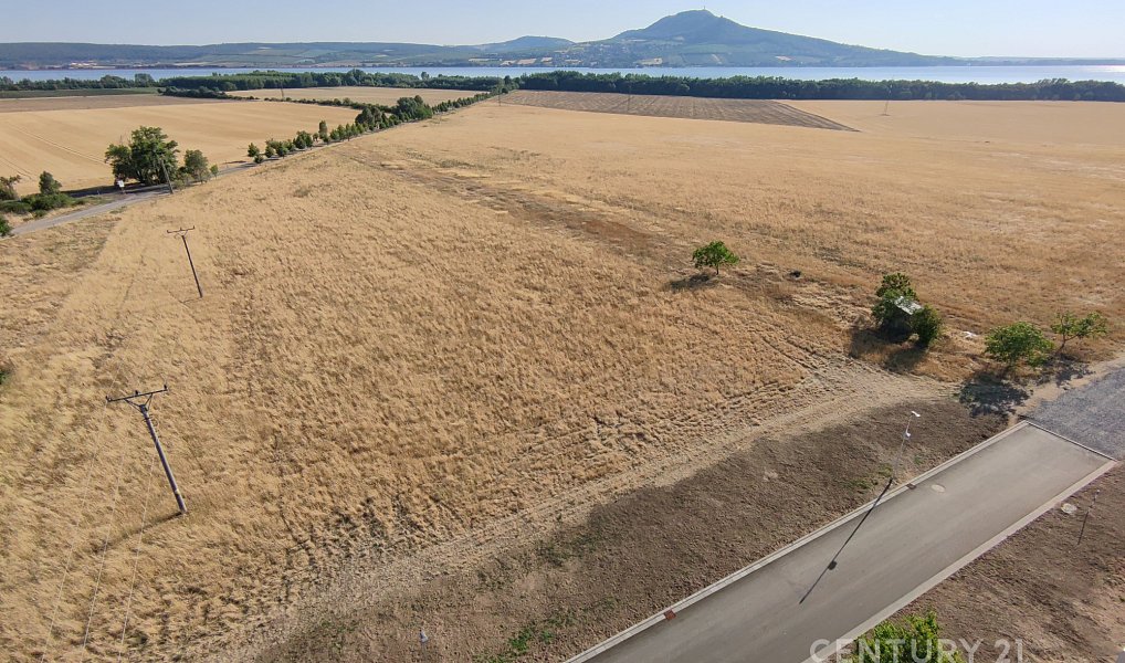 Prodej stavebního pozemku 1 765 m², Šakvice – náhled fotky 6