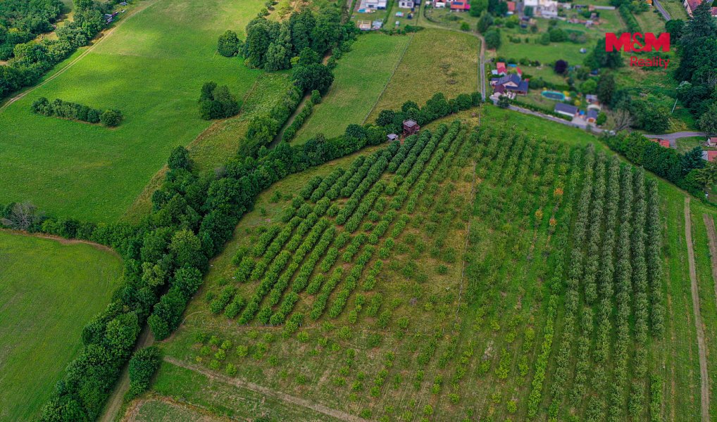 Prodej pole 9 766 m², Polom – náhled fotky 7