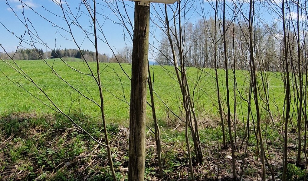 Prodej pozemku 2 788 m², Černý Důl – náhled fotky 10