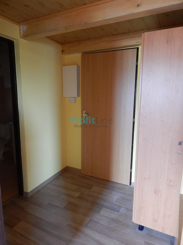 Pronájem bytu 1+kk 40 m² – fotografie 4